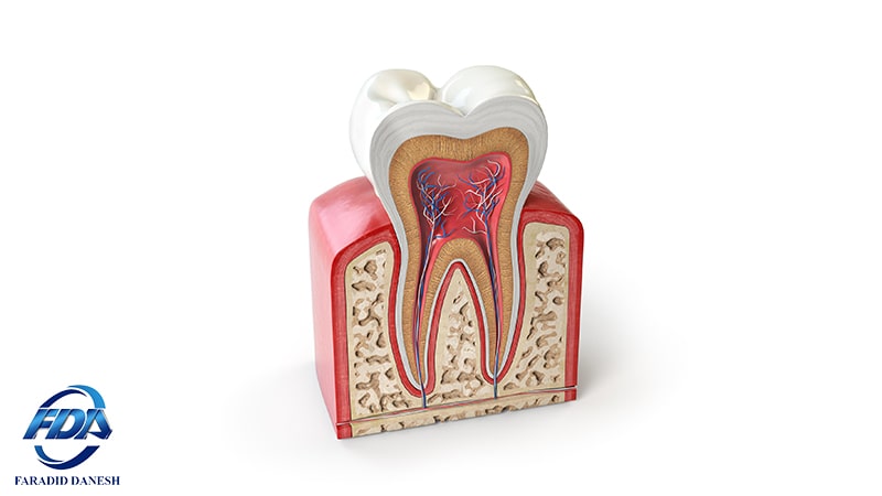 تفاوت ارتودنسی و ایمپلنت دندان